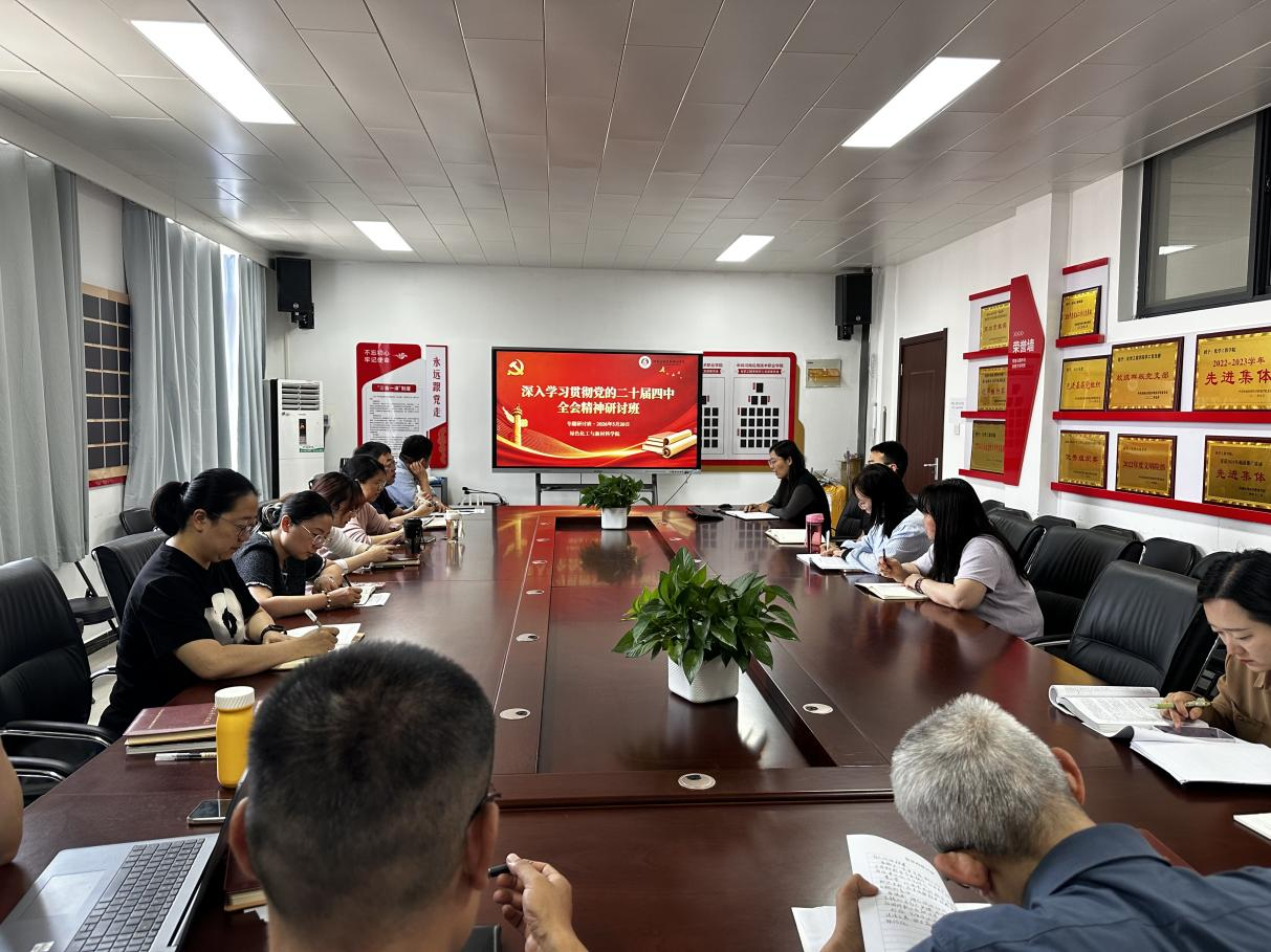 绿色化工与新材料学院党总支开展党的二十届四中全...